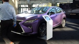 purplelexus