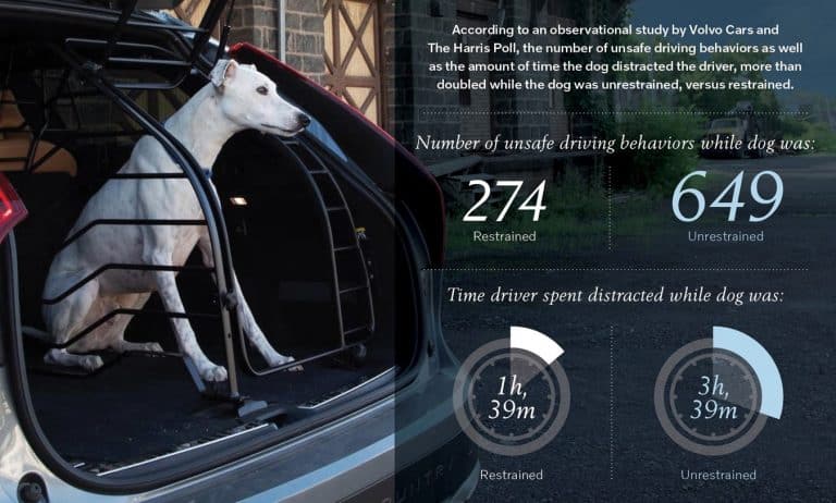 Volvodogcars auto connected car news