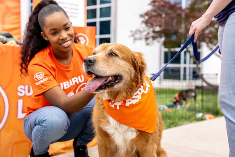 Subaru Loves Pets with $3.2 Million to Shelters #SubaruLovesPets & #MakeADogsDay